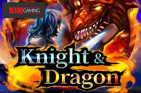 Knight & Dragon